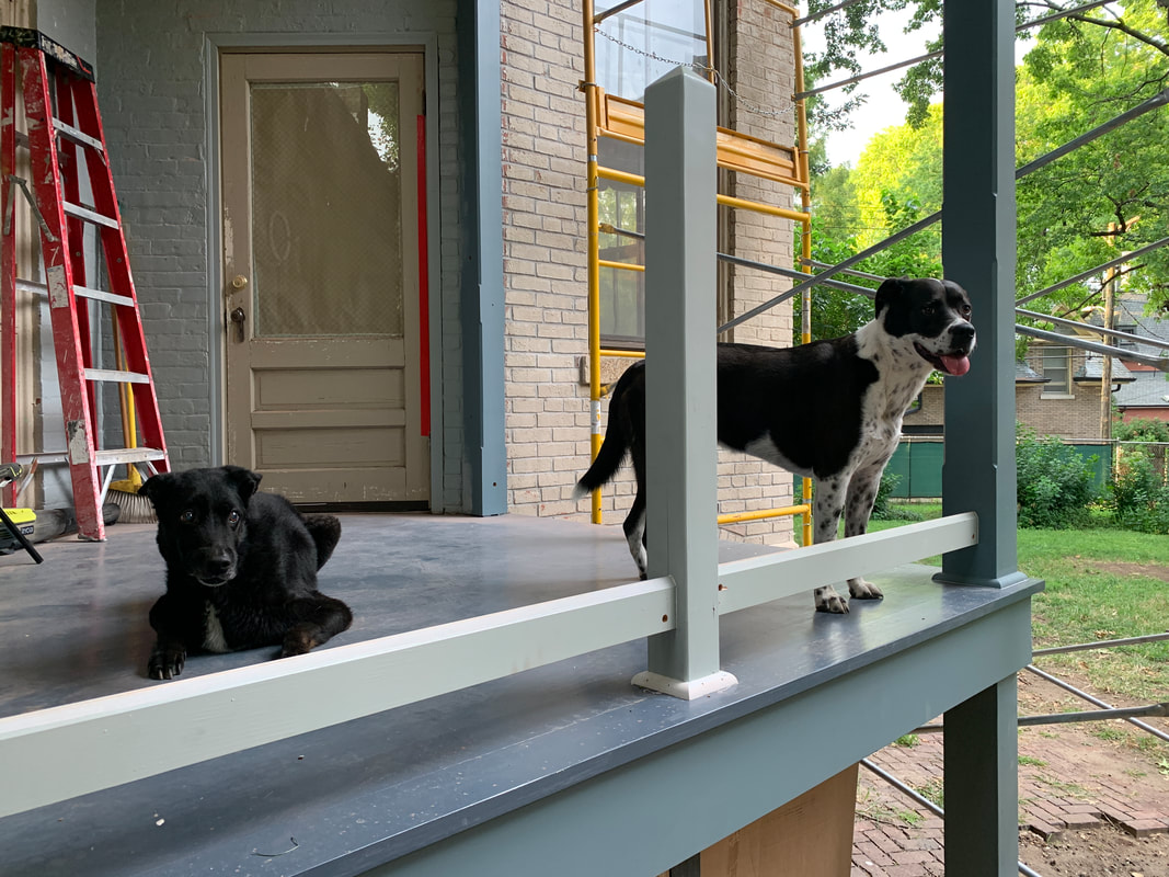 dogs on porch