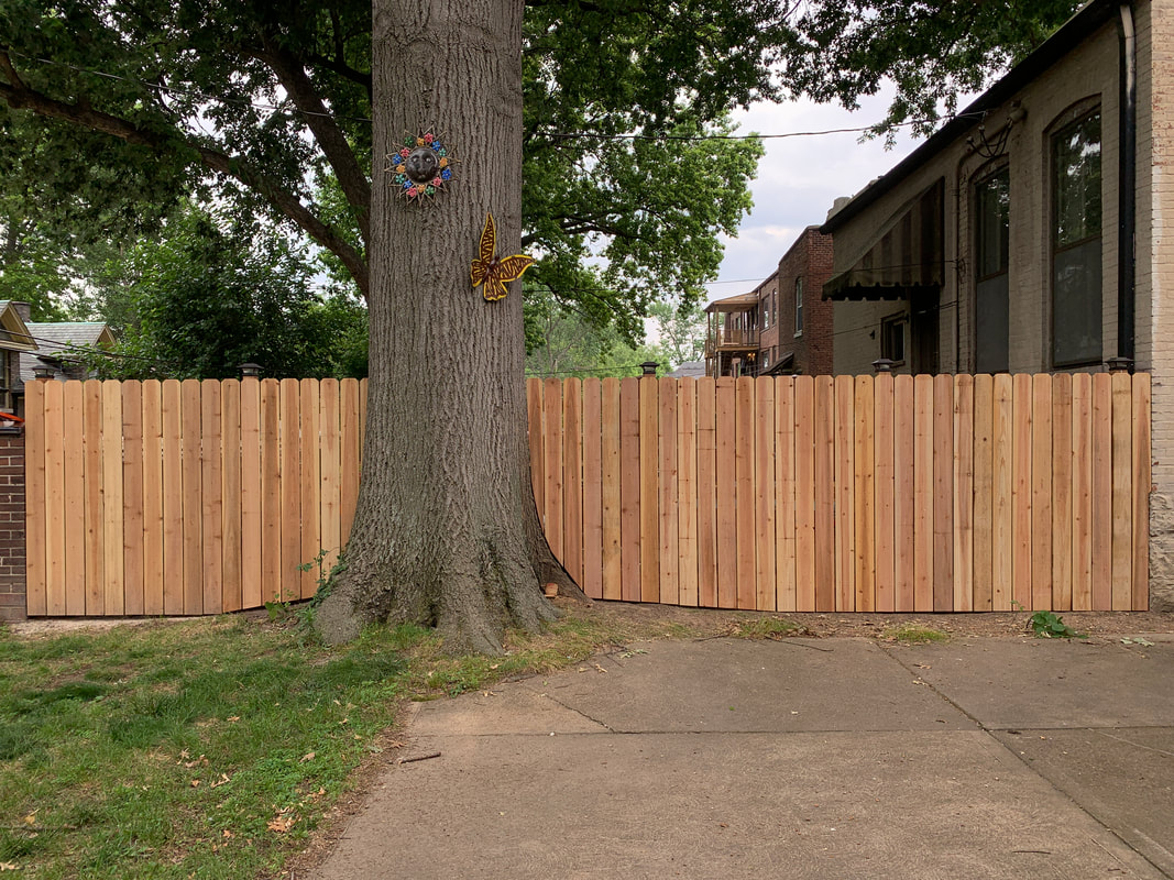 New cedar fence